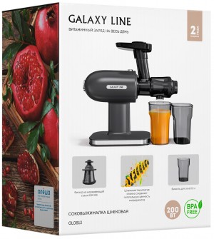 Соковыжималка шнековая GALAXY LINE GL0813 (200Вт)